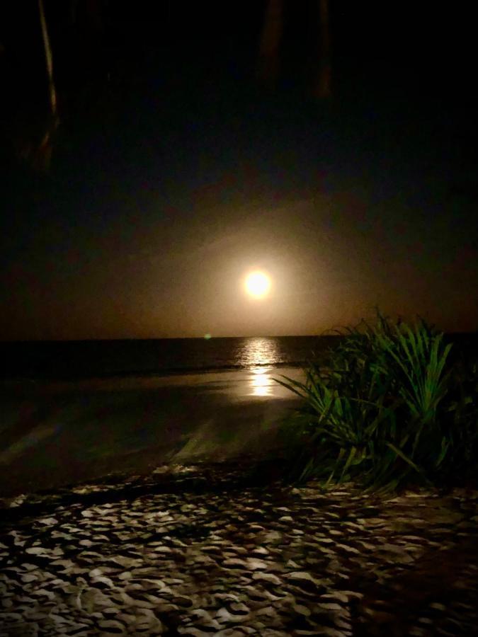 Simba Beach Zanzibar Кивенга Екстериор снимка